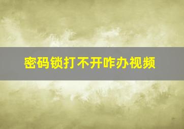 密码锁打不开咋办视频