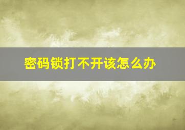 密码锁打不开该怎么办