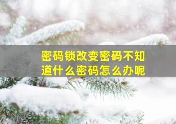 密码锁改变密码不知道什么密码怎么办呢