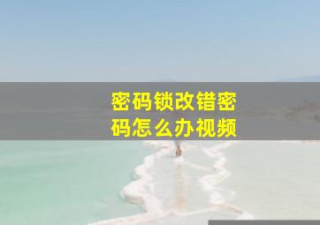 密码锁改错密码怎么办视频