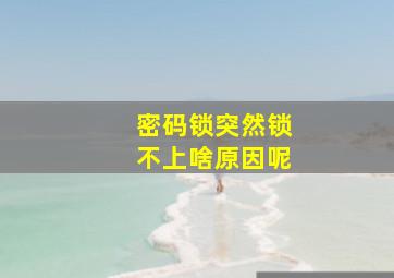 密码锁突然锁不上啥原因呢