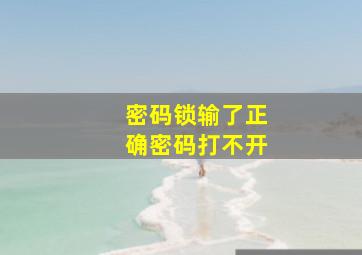 密码锁输了正确密码打不开