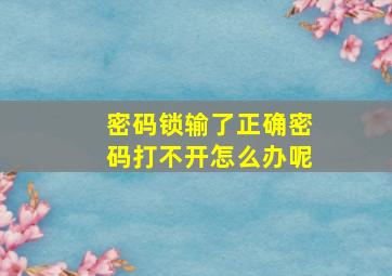 密码锁输了正确密码打不开怎么办呢