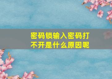 密码锁输入密码打不开是什么原因呢