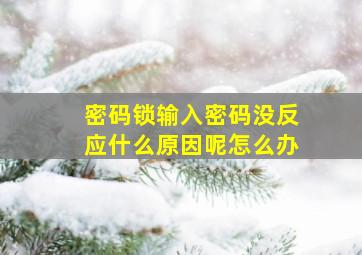 密码锁输入密码没反应什么原因呢怎么办