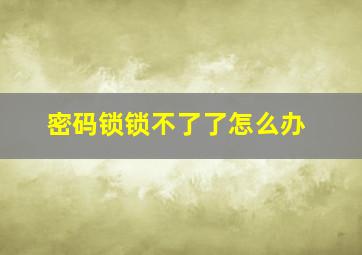 密码锁锁不了了怎么办