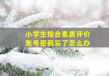 小学生综合素质评价账号密码忘了怎么办