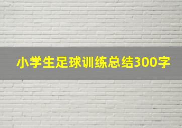 小学生足球训练总结300字