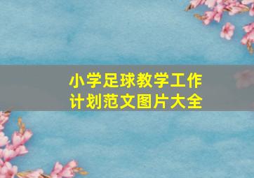 小学足球教学工作计划范文图片大全