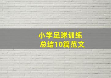 小学足球训练总结10篇范文