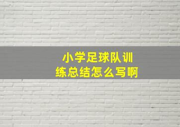 小学足球队训练总结怎么写啊