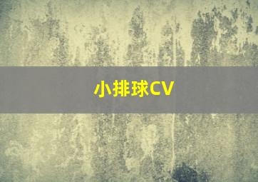 小排球CV