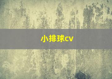 小排球cv