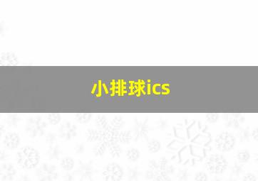 小排球ics