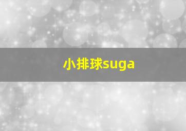 小排球suga