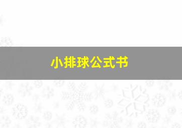 小排球公式书