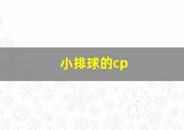 小排球的cp