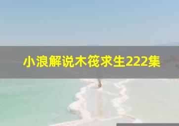 小浪解说木筏求生222集