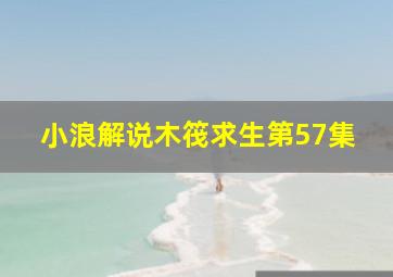 小浪解说木筏求生第57集