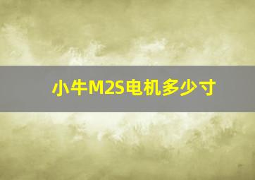 小牛M2S电机多少寸