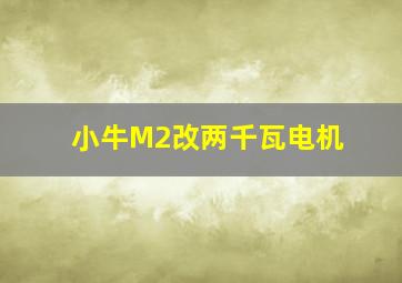 小牛M2改两千瓦电机