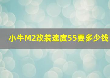 小牛M2改装速度55要多少钱