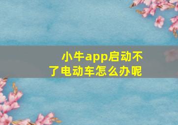 小牛app启动不了电动车怎么办呢