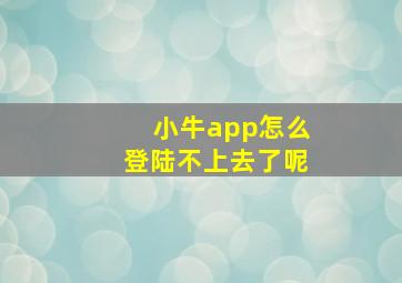 小牛app怎么登陆不上去了呢