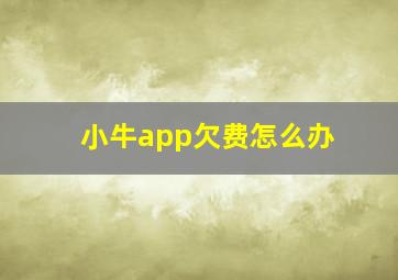 小牛app欠费怎么办