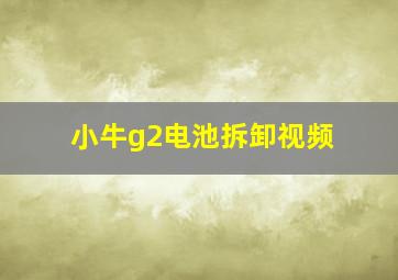 小牛g2电池拆卸视频