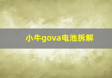 小牛gova电池拆解