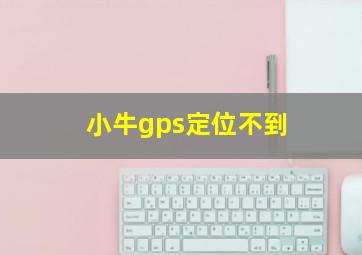 小牛gps定位不到