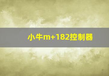 小牛m+182控制器