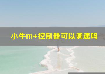 小牛m+控制器可以调速吗