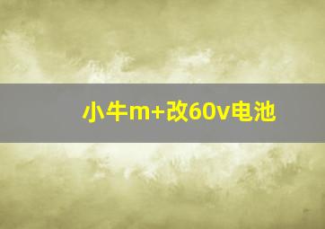 小牛m+改60v电池