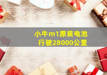 小牛m1原装电池行驶28000公里