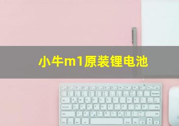 小牛m1原装锂电池