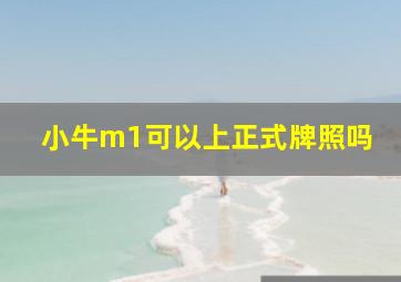 小牛m1可以上正式牌照吗