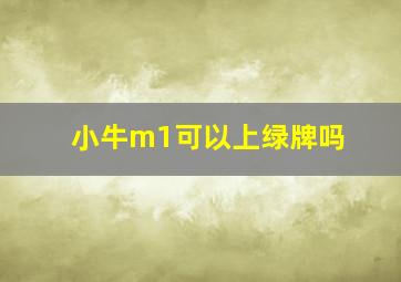 小牛m1可以上绿牌吗