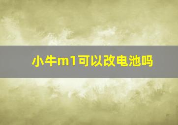 小牛m1可以改电池吗