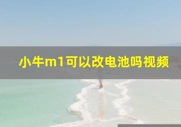 小牛m1可以改电池吗视频