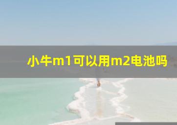 小牛m1可以用m2电池吗