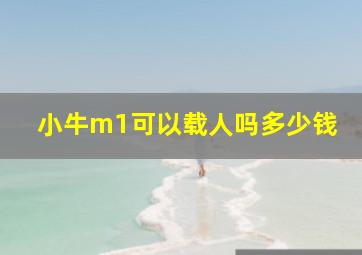 小牛m1可以载人吗多少钱