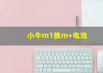 小牛m1换m+电池