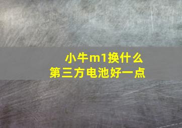 小牛m1换什么第三方电池好一点