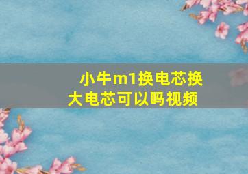 小牛m1换电芯换大电芯可以吗视频