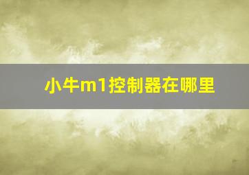 小牛m1控制器在哪里