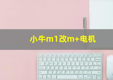 小牛m1改m+电机