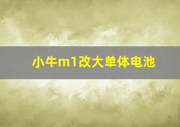 小牛m1改大单体电池