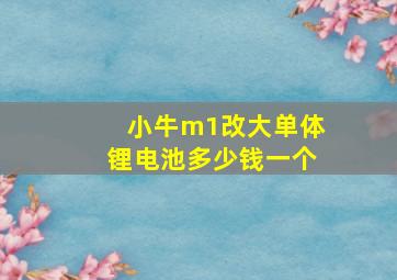 小牛m1改大单体锂电池多少钱一个